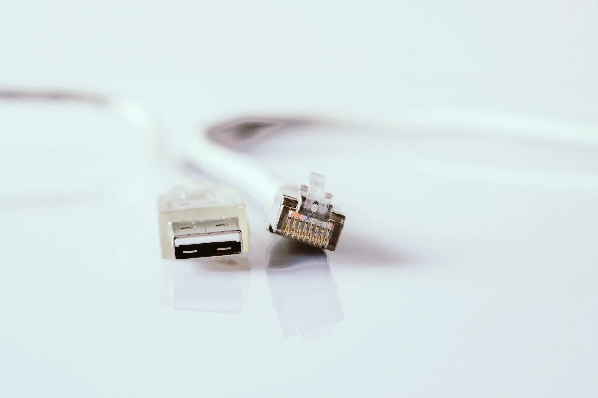 Connecteurs réseau RJ45 en gros plan : la même logique de langage commun s’applique aux réseaux filaires qu’aux protocoles radio de la domotique