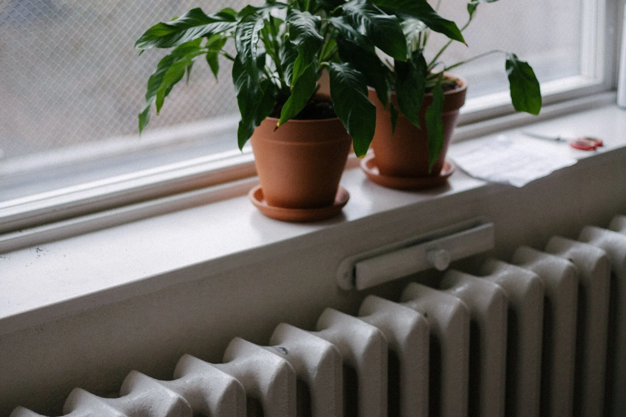Radiateur en fonte sous une fenêtre, deux plantes en pot posées sur l’appui : une pièce peut rester accueillante sans que le chauffage tourne à plein en continu