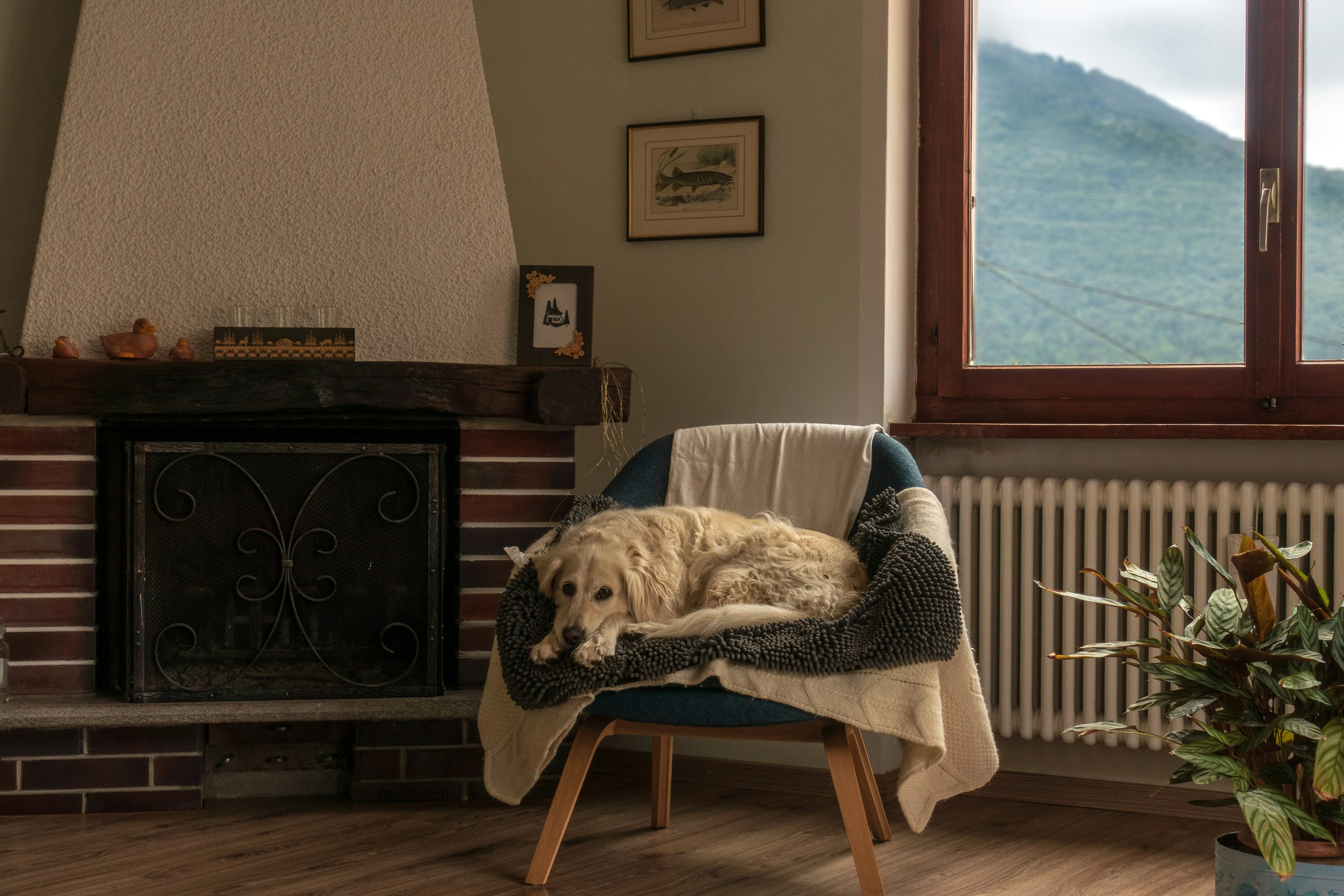 Cheminée en pierre et fauteuil habité près d’une fenêtre ouvrant sur les sommets, dans un chalet occupé depuis longtemps : le point de départ le plus fréquent, bien avant un chantier neuf